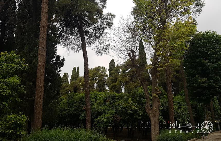 طبیعت بوستان باغ ملی شیراز